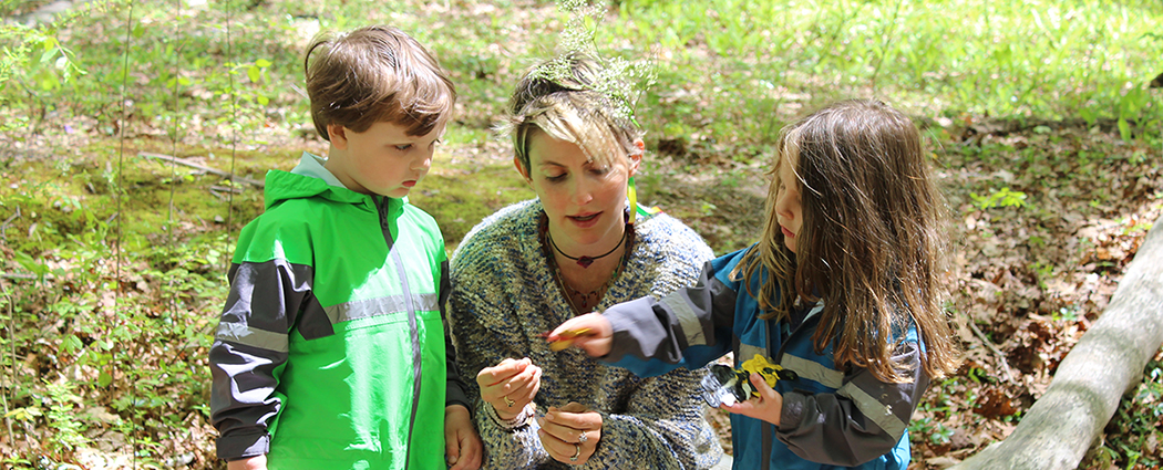 Our Covid-19 Policies at Forest School