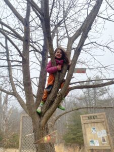 aishling forest school tree climbing