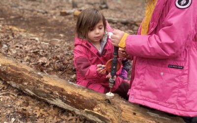 The Story of Self-Efficacy; How Forest School Cultivates Motivation and Perseverance