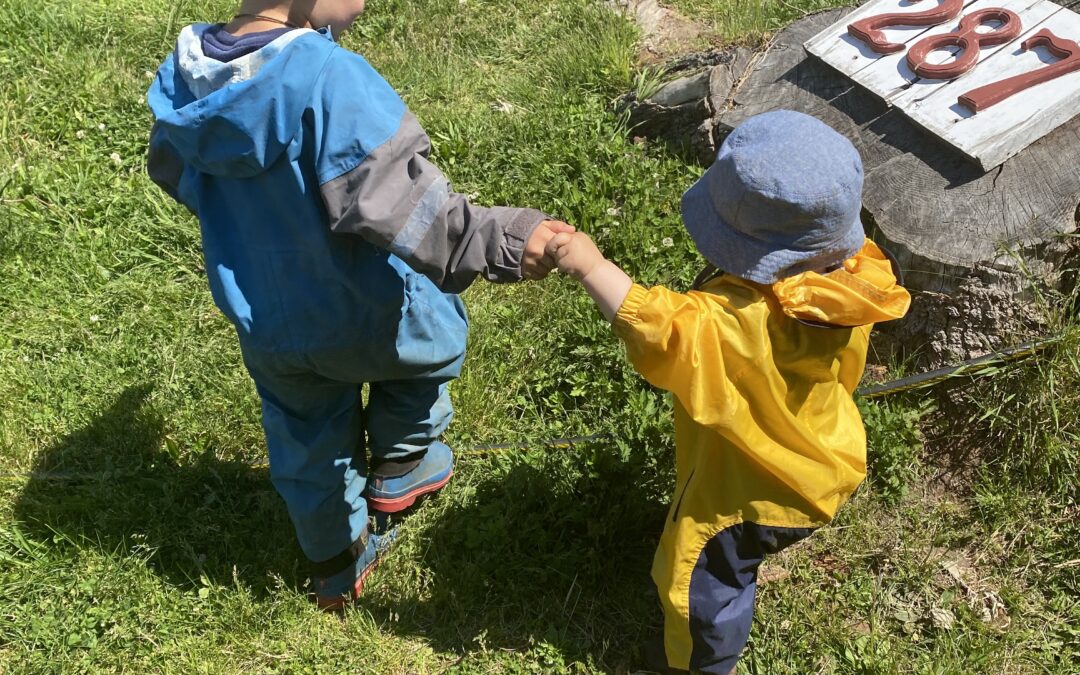 holding hands aishling forest school