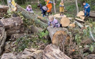 How Forest School Soothes Our Seven (Yes Seven!) Senses