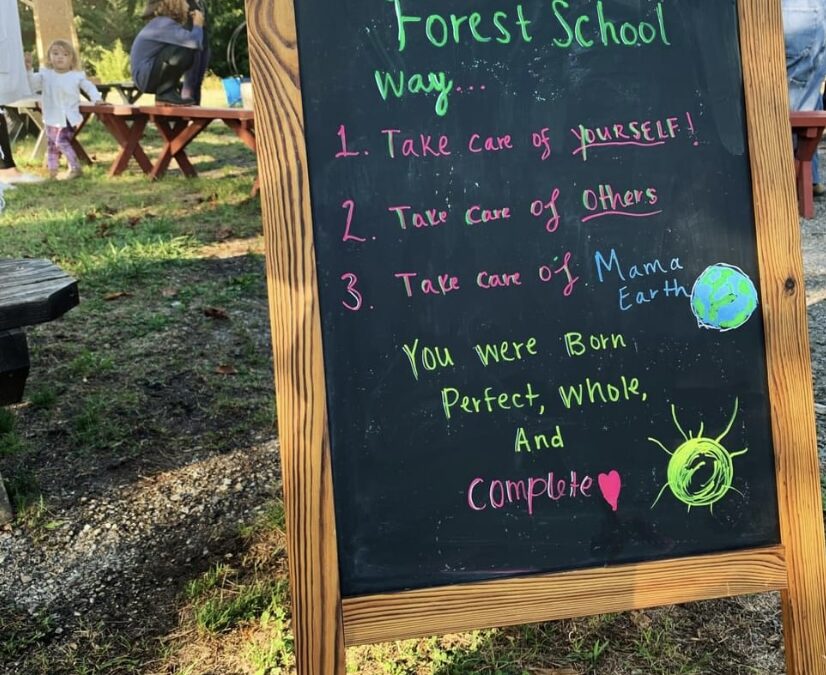 How Forest School Creates More Harmonious Humans